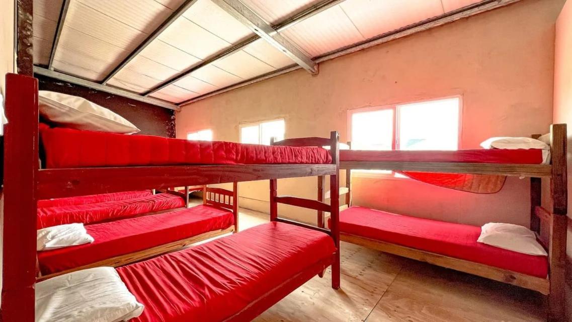 La Maquinita Hostel Mar del Plata Dış mekan fotoğraf
